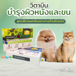 วิตามินบำรุงผิวหนังและขน Dermega 60 แคปซูล ลดอาการคันและผื่นแพ้ ฟื้นฟูผิวหนังอักเสบ