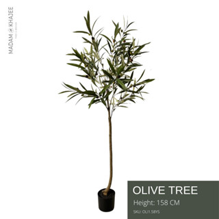 Olive Tree Height 158 Cm ต้นมะกอกปลอม ความสูง 158 ซม. ต้นไม้ปลอมเกรดพรีเมียม