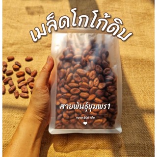 เมล็ดโกโก้ดิบ 500g-1kg พันธุ์ชุมพร1สำหรับนำไปทำโกโก้นิบส์ และช็อคโกแลต