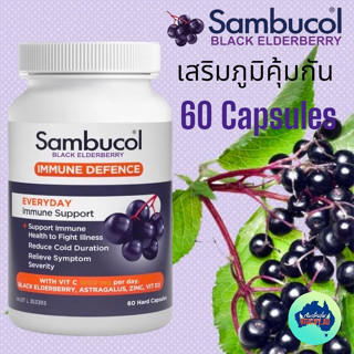 Sambucol Immune Everyday 60 Capsules จากออสเตรเลีย