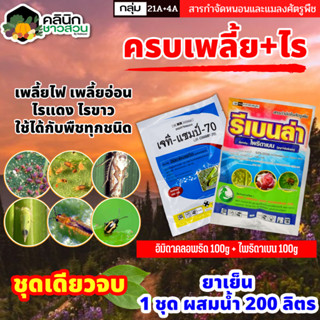 🥬 ชุดกำจัดเพลี้ย+ไร เจทีแชมป์+รีเบนล่า (อิมิดาคลอพริด+ไพริดาเบน) บรรจุ 100กรัม+100กรัม กำจัดเพลี้ยและไรทุกชนิด