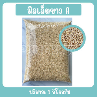 ข้าวฟ่างนก ข้าวฟ่างขาว มิลเล็ตA ขนาด 1 กิโลกรัม