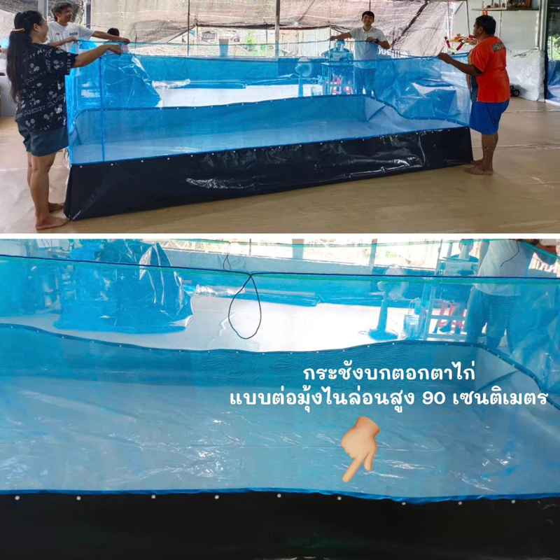 [ส่งฟรี- ซื้อ2 ลด20] กระชังบกตอกตาไก่ ⚠️ สูง 1 เมตร สินค้าคุณภาพ ผลิตจากโรงงานโดยตรง thumbnail 7
