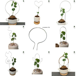 รวมทรงยอดฮิต ❤️‍🔥ลวดดัดไม้โขด Aluminium ไม้เลื้อย 🪴 Climbing plant support ทรงน่ารัก ลวดบัวบกโขด อลูมิเนียมไม่เป็นสนิม