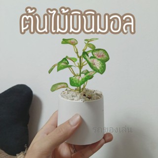 ต้นไม้ปลอม 🌿 มินิมอล ขนาดกำลังดี แต่งห้อง วางโต๊ะ หัวที่นอน ได้หมด ไม่ต้องดูแลรดน้ำ