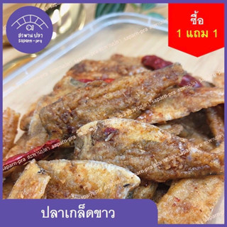 ซื้อ 1 แถม 1 ปลาเกล็ดขาวทอดกรอบ อย่างดี กรอบใหม่หอมอร่อย (ขนาด 100+100 กรัม) บรรจุกล่อง พร้อมทาน