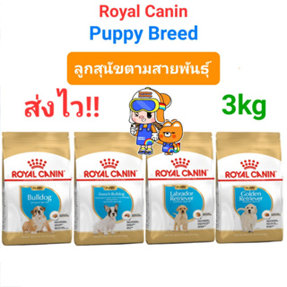 Royal Canin Breed French Bulldog Bulldog Golden Labrador Puppy 3kg โรยัลคานิน ลูกสุนัข เฟรนช์ บุลด็อก โกลเด้น ลาบราดอร์