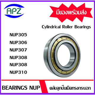 NUP305 NUP306 NUP307 NUP308 NUP309 NUP310 ตลับลูกปืนเม็ดทรงกระบอก ( Cylindrical Roller Bearing NUP ) โดย APZ