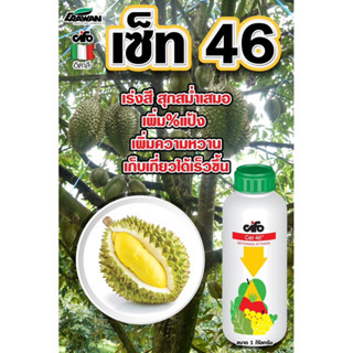 เซ็ท46น้ำตาลทางด่วนเร่งสุก