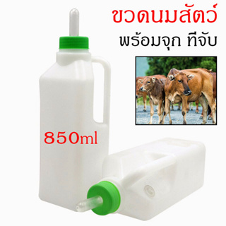 ขวดนมวัวพร้อมจุก พร้อมที่จับ 850ml ขวดนมลูกวัว หมู แพะ ราคาถูก ส่งจากไทย