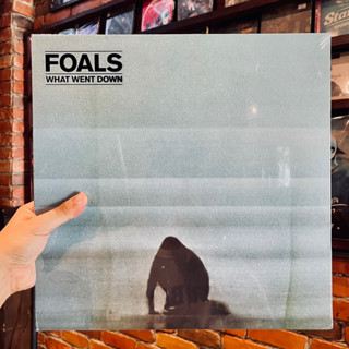 แผ่นเสียง Foals - What We Went Down (Vinyl)