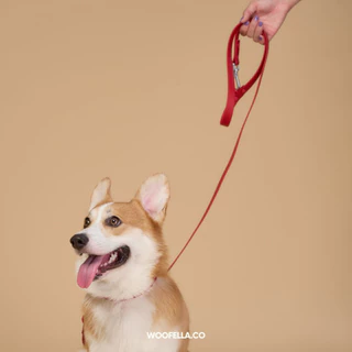 Woofella Leash สายจูง สายจูงสุนัข สายจูงกันน้ำ