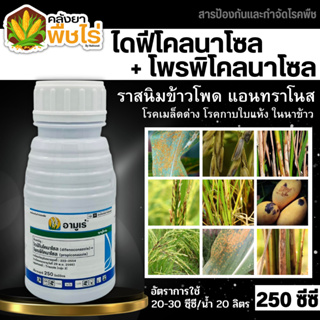 🌽 อามูเร่ (ไดฟีโนโคลนาโซล+โพรพิโคนาโซล) 250ซีซี ป้องกันโรคเมล็ดด่างในนาข้าว