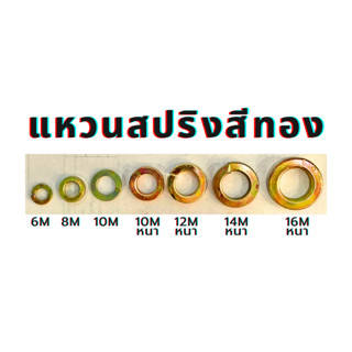 แหวนสปริงสีทอง แหวนสปริงทอง แหวนกันคลายทอง ขนาด6M/8M/10M/12M/14M/16M