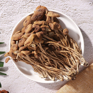 เห็ดโคนแห้ง 干茶树菇 100g สามาราถนำไปประกอบอาหารได้หลากหลายเมนู malamart