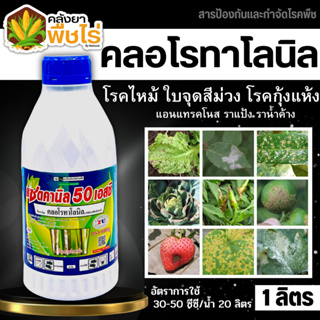 🌽 แซดคานิล50 (คลอโรทาโลนิล) 1ลิตร ป้องกันเชื้อรา ใบไหม้ ราน้ำค้าง ราแป้ง