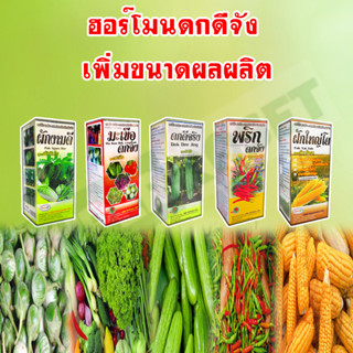 ฮอร์โมนพืช ฮอร์โมนดกดีจัง ขนาด 1 ลิตร