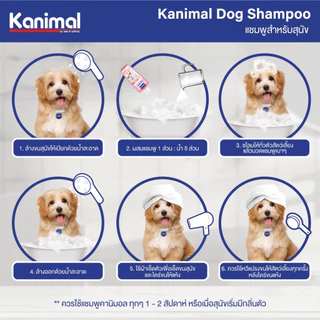 ( 7สูตร ) Kanimal Dog Shampoo 3,800 ml. แชมพูสุนัข ช่วยบำรุงขน ลดขนร่วง สำหรับสุนัขทุกสายพันธุ์ (3,800 มล./ขวด)