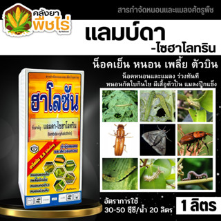 🌽 ฮาโลซัน (แลมด์ดา-ไซฮาโลทริน) 1ลิตร ป้องกันกำจัดหนอนเช่น เพลี้ยไฟ หนอนแดง เพลี้ยจักจั่น หนอนกอเป็นต้น