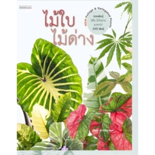 พร้อมจัดส่ง:ไม้ใบไม้ด่าง Foliage &amp; Variegated Plants