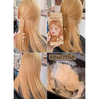 KOTA Color Cream สีย้อมผมออแกนิค ยาย้อมผม มี 10 เฉดสี