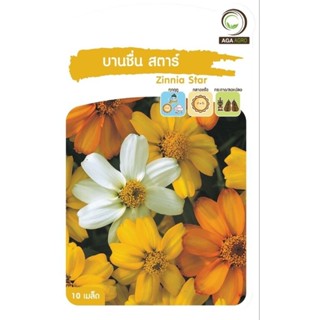 เมล็ดพันธุ์ ดอกไม้ บานชื่น สตาร์ (Zinnia Star)