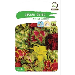 เมล็ดพันธุ์ ฤษีผสม วิซาร์ด (Coleus Wizard)