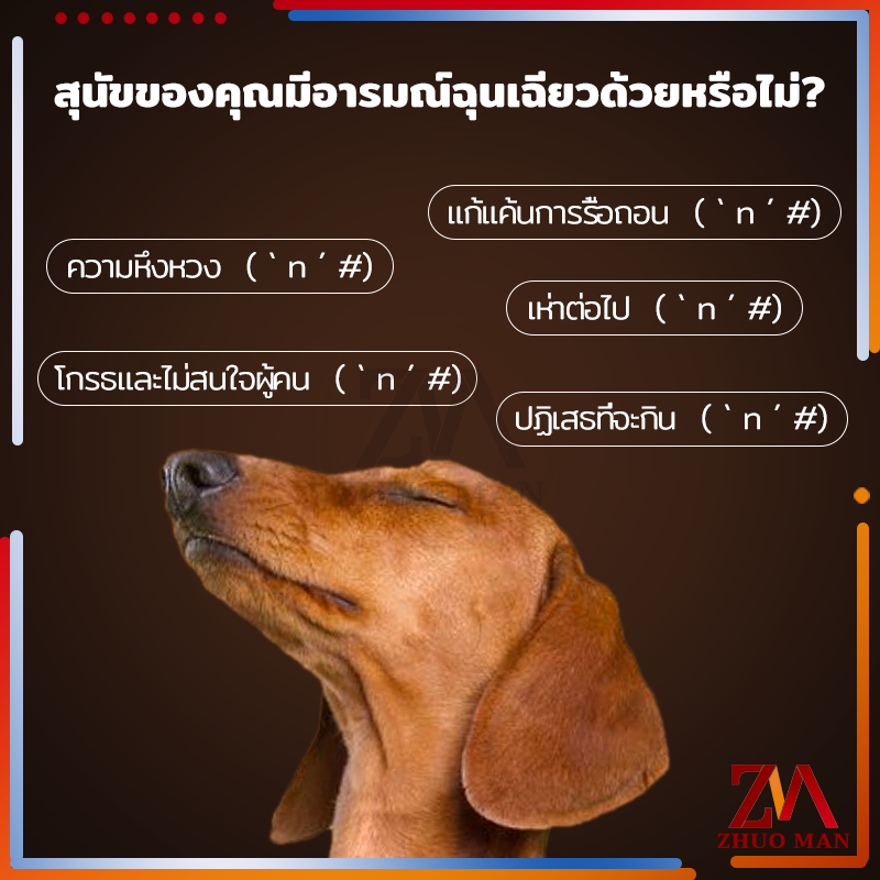แถบเนื้อขนมสุนัข500g ขนมสุนัขขัดฟัน ขนมสุนัข วัตถุดิบสดใหม่ มีวิตามินรวม ไขมันต่ำ ง่ายต่อการพกพา - รูปที่ 5