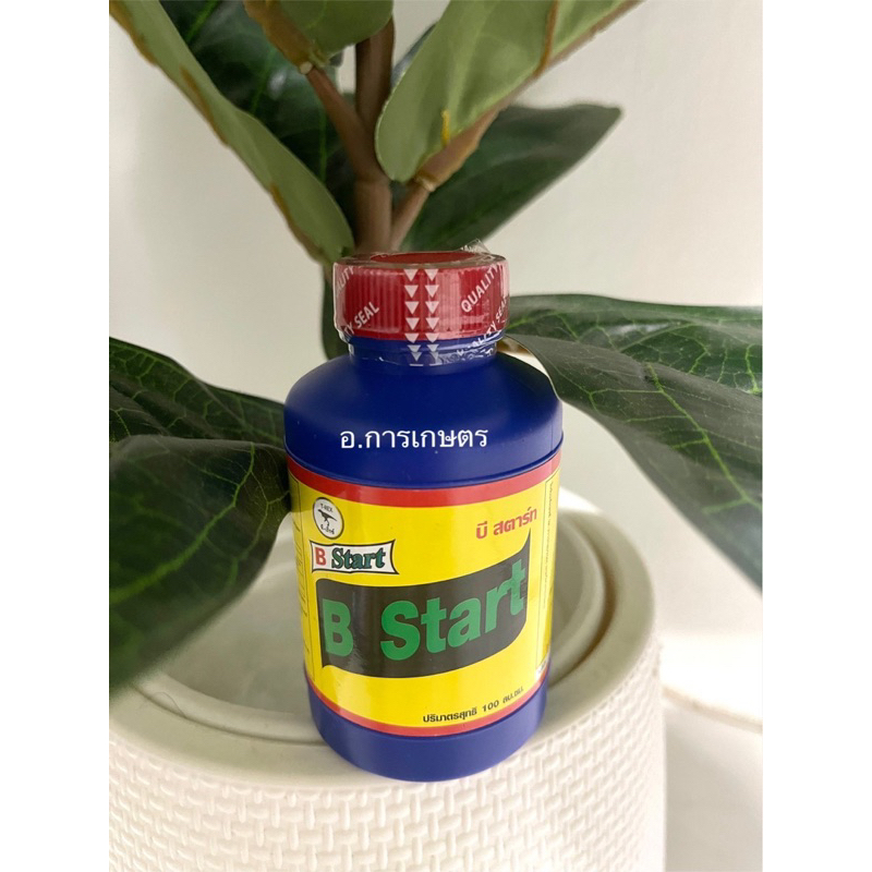 ใช้โค้ตพร้อมกันได้ !! ยกลัง !! B1 บีวัน b1 เปลื่ยนชื่อเป็น b start ยาเร่งราก ขนาด 100cc 24ขวด b-1
