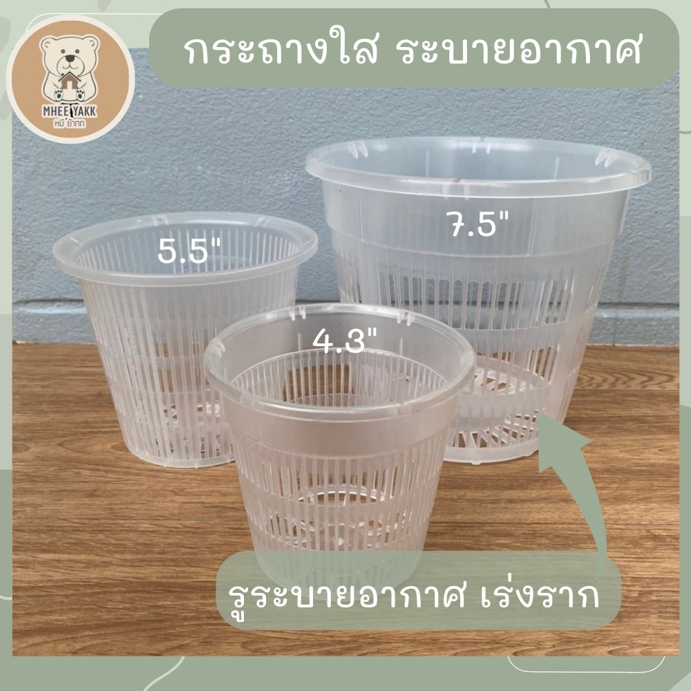 กระถางใสระบายอากาศ 3 ขนาด 4.3 , 5.5 และ 7.5 นิ้ว สามารถมองเห็นรากได้