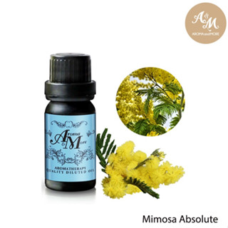 Aroma&amp;More  Mimosa Absolute Dilute 10% with FCO- น้ำมันหอมระเหยมิโมซ่าชนิดเจือจาง 10% แอปโซลูท  อินเดีย 100ML