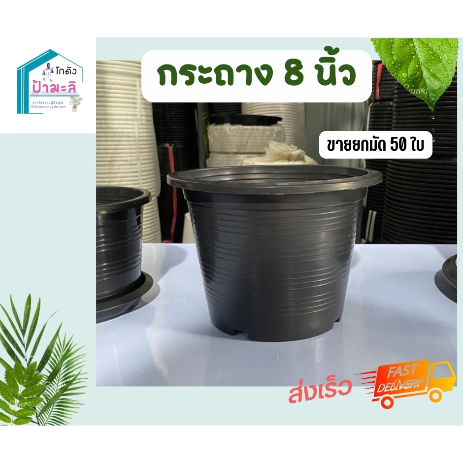 กระถาง 8 นิ้ว สีดำ 50 ใบ ราคาส่งจากโรงงาน