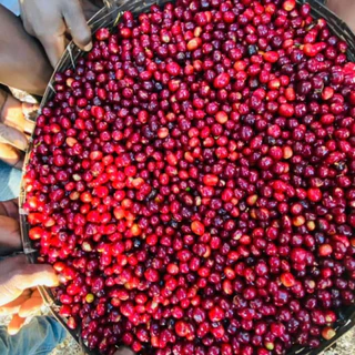 ANNIE - Ethiopia Guji Hambela Buku Abel Natural คั่วอ่อน