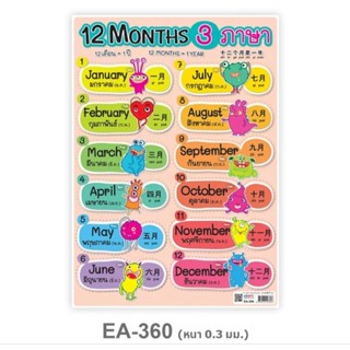 โปสเตอร์พลาสติก PP ขนาด A4  12 เดือน 3 ภาษา EA-360 และ 7 วัน = 1 สัปดาห์ EA-405 ยี่ห้อ OST