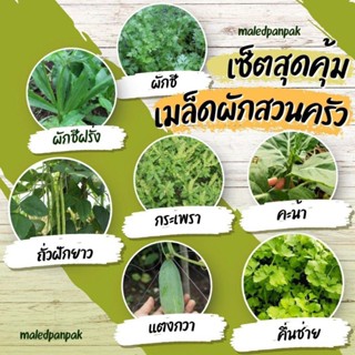 เมล็ดพันธุ์ผักสวนครัว เซ็ตสุดคุ้ม ผักสวนครัว7ชนิด