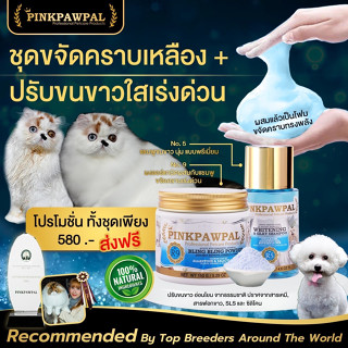 ชุดขจัดคราบเหลืองเร่งด่วน แก้ขนหมอง ขนเหลือง Pinkpawpal Whitening Set (R5+R9)