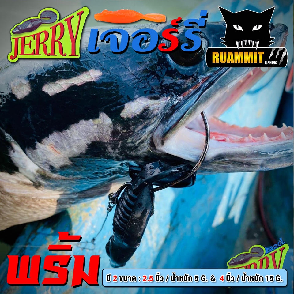 Thumbnail 7