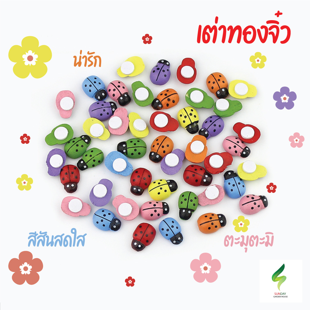 เต่าทองจิ๋ว แมลงเต่าทอง ตกแต่งสวนถาด แต่งสวนจิ๋ว บ้าน น่ารัก ตกแต่งสวนถาด