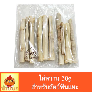 ไผ่หวาน 30g sweet bamboo ไม้แทะ ลบคมฟัน ของเล่นกระรอก ของเล่นหนู กระต่าย กระรอก แก้สบี้ ชินชิล่า ชูการ์ แพรรี่ด็อก