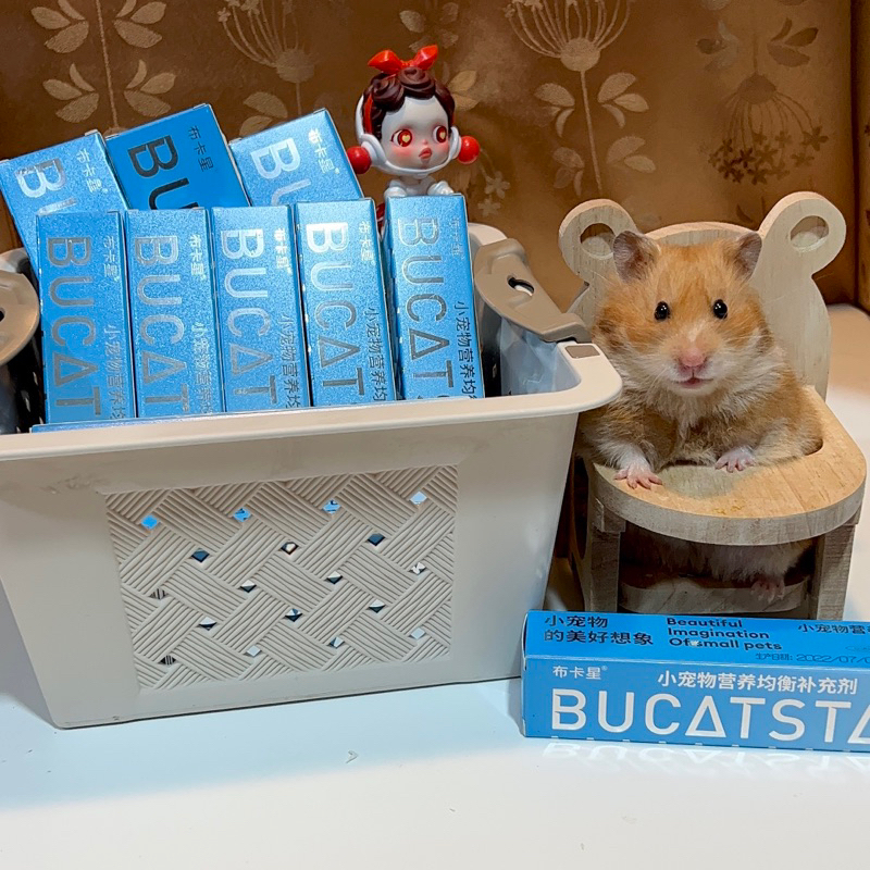 อาหารเสริม หนูแฮมสเตอร์ Bucatstate