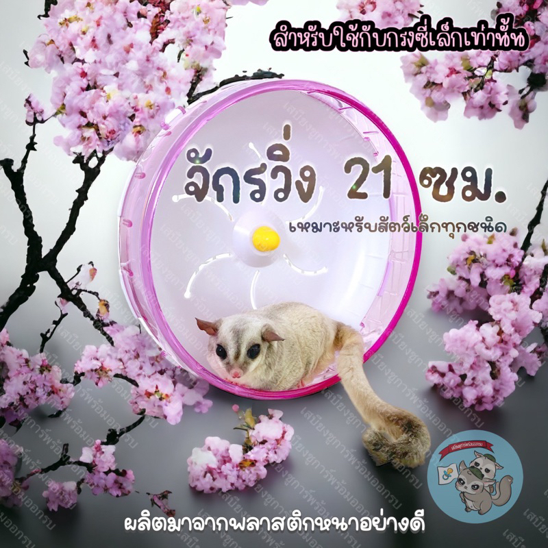 V ( จักรวิ่งพลาสติก 21 ซม. ) จักร ลู่วิ่ง กงล้อ ที่วิ่ง ชูการ์ กระรอก แฮมสเตอร์ ดอร์เมาส์ สัตว์เล็ก สัตว์เลี้ยง ของเล่น