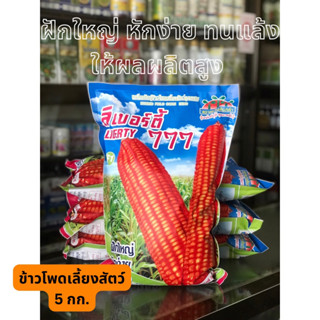 ข้าวโพดเลี้ยงสัตว์ พันธุ์ตองเจ็ด ลิเบอร์ตี้ 777 ฝักใหญ่ ทนแล้ง 3หุน