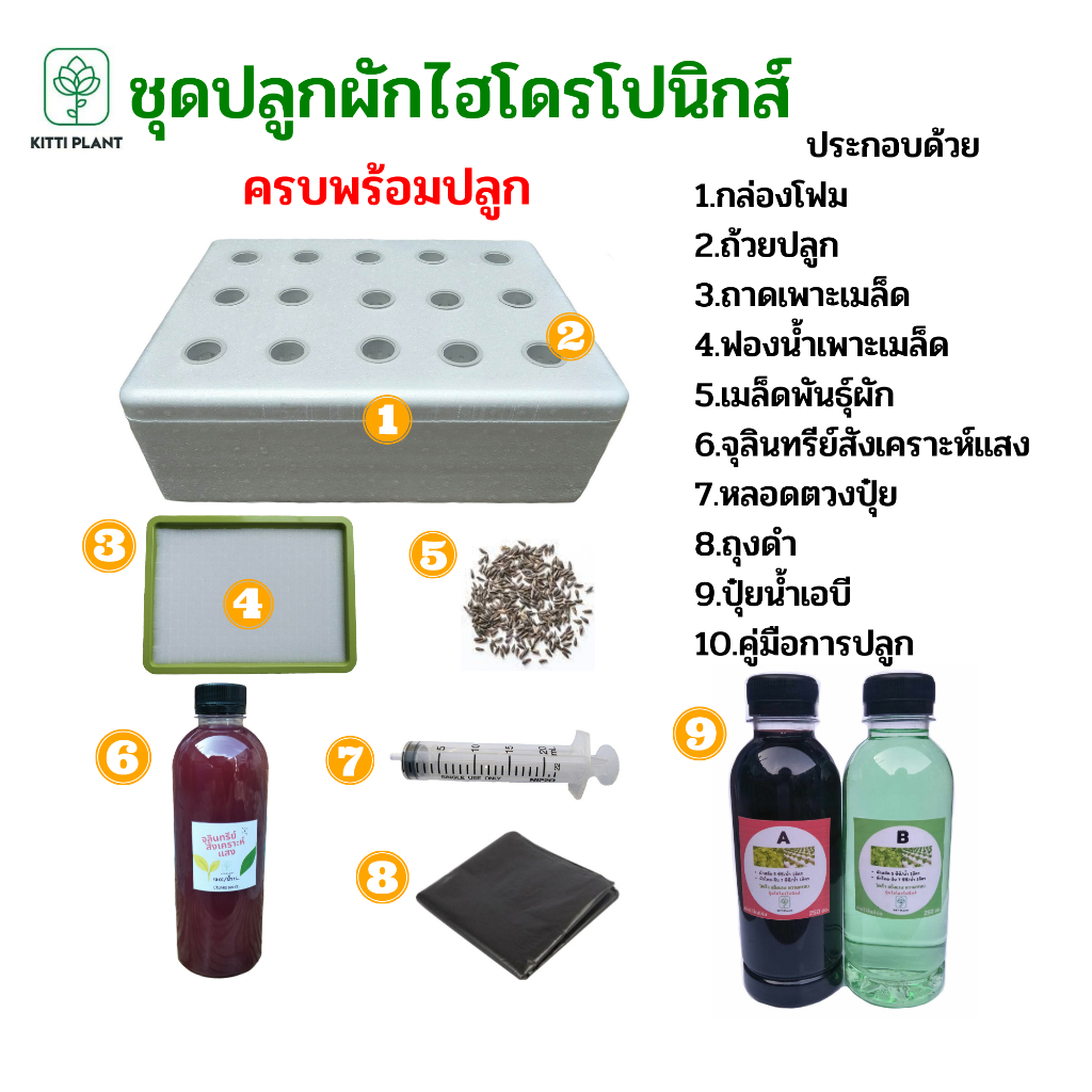 ชุดปลูกผักไฮโดรโปนิกส์ ของครบพร้อมปลูก ชุดปลูกผักสลัด  6,8,15 ช่อง ชุดปลูกผัก กล่องโฟมปลูกผักไฮโดรโป