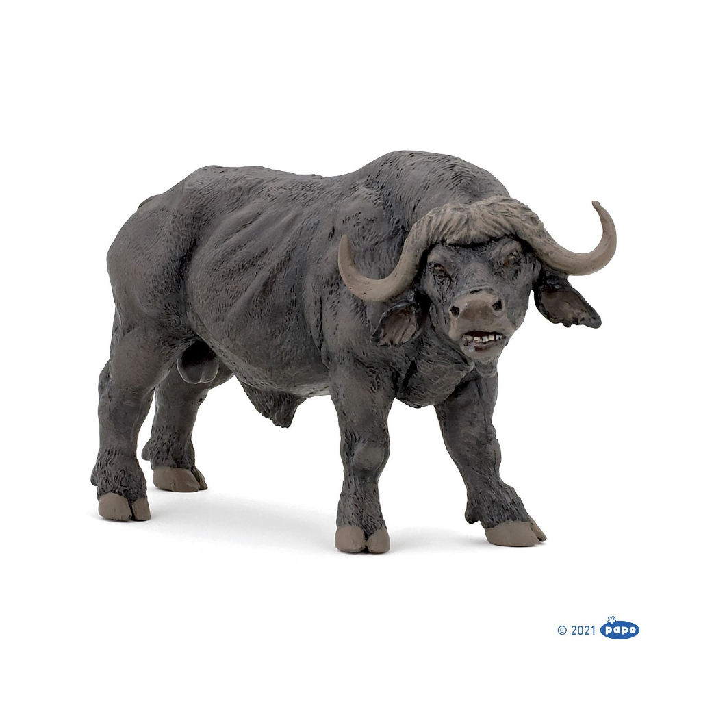 PAPO : PPO50114* โมเดล African Buffalo