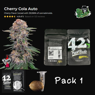 เมล็ดกัญชา Cherry Cola Auto - Fastbuds แพ็ค1เมล็ด