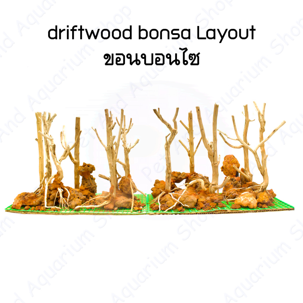 driftwood bonsa Layout ขอนบอนไซสำหรับตั้งตู้ไม้น้ำ ตกแต่งตู้ ขอนไม้ ตู้ไม้น้ำ ตู้ปลาพรรณไม้น้ำราคาต่