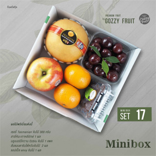 Premium fruit Mini box set 17