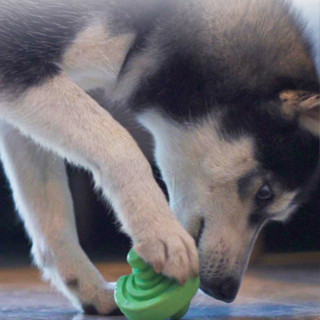 Pets Shop ลูกบอลจ่ายอาหารสุนัขทำความสะอาดฟันกัดทนช้าให้อาหารยางสัตว์เลี้ยงรักษาของเล่นปริศนาสำหรับการฝึกอบรมกลางแจ้ง