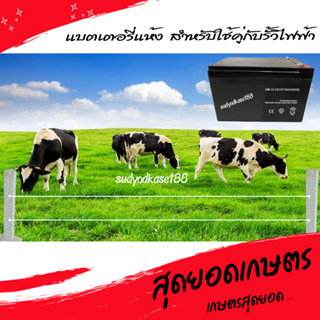 แบต แบตเตอรี่ แบตเตอรี่แห้ง ขนาด 12V 12A สำหรับใช้กับรั้วไฟฟ้า ถังพ่นยาแบตเตอรี่