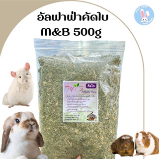 อัลฟาฟ่าคัดใบล้วนเกรดพรีเมี่ยม 500 กรัม